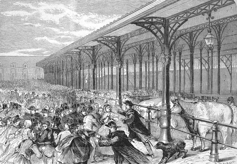 Agriculture Exhibition, Fat Ox Competition, at the Marche de la Vilette, 1869, France, Historic, digitally restored reproduction of an original 19th century artwork, exact original date unknown, Europe