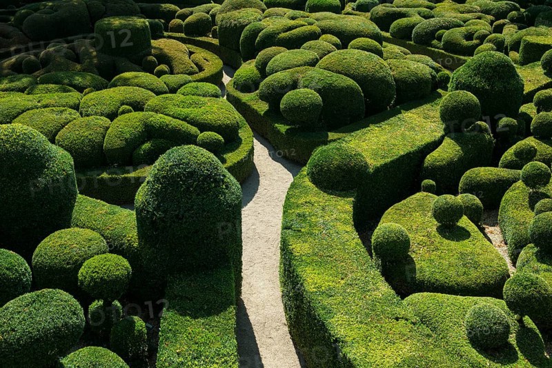 Boxwood garden, Les Jardins de Marqueyssac, Vezac, Dordogne, Périgord, Département Dordogne, Region Nouvelle-Aquitaine, France, Europe
