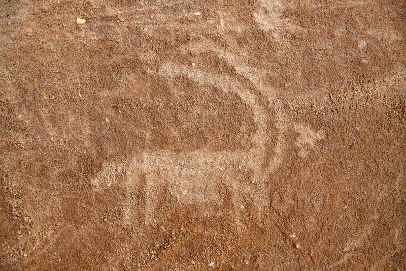 Rock engraving of an ibex near The Arch, also known as Rainbow Rock, near AlUla, Medina Province, Saudi Arabia, Arabian Peninsula, Asia
