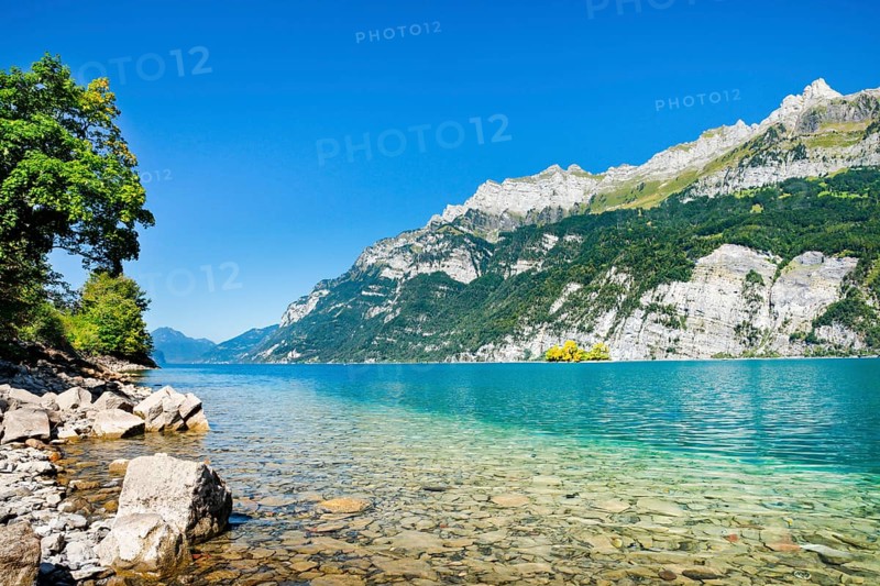 View from the shore of Lake Walen of the small chive island in the middle of the turquoise water at the foot of the Churfirsten and with the mountain range Schären and Leistchamm in the background, Canton St. Gallen, Switzerland, Europe
