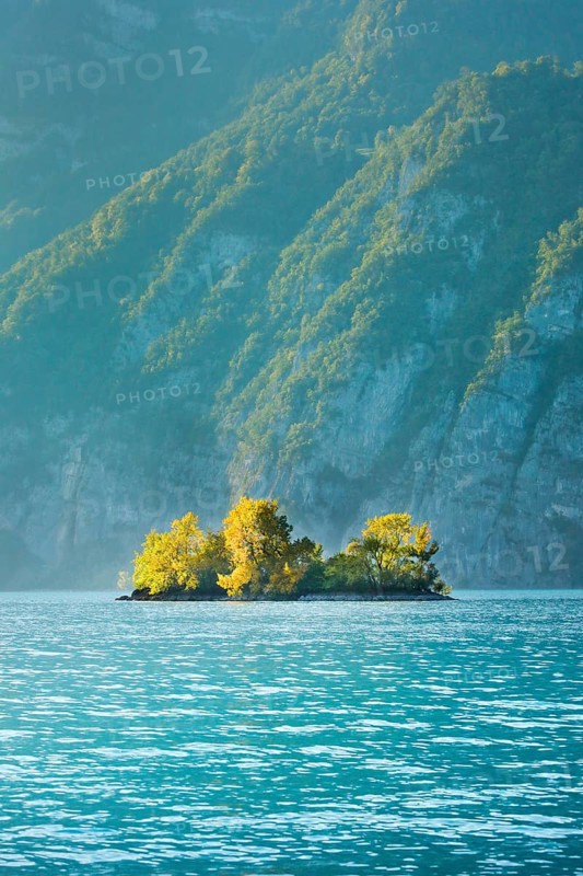 Small chive island in the turquoise waters of Lake Walen, Canton St. Gallen, Switzerland, Europe