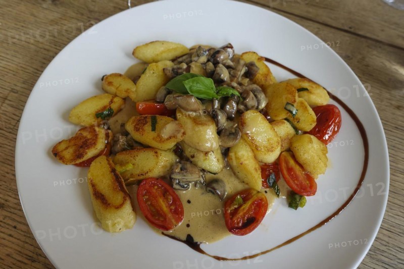 Vegetarian cuisine, fried gnocchi, gnocchi with mushrooms, mushroom, sauce, sauce, cocktail tomatoes, cherry tomatoes, plate, potato dough, sauce, plate, main course, food photography, studio, Germany, Europe