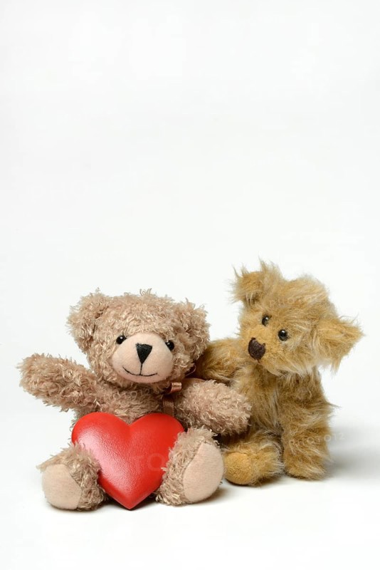 Two teddy bears and red heart, teddy