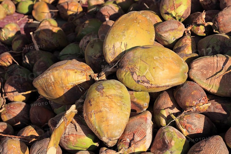 Coconuts at a market stall in Oman