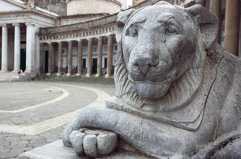 The Smiling Lion at the Basilica di San Francesco di Paola in the Piazza del Plebiscito, Naples, Campania, Italy, Europe