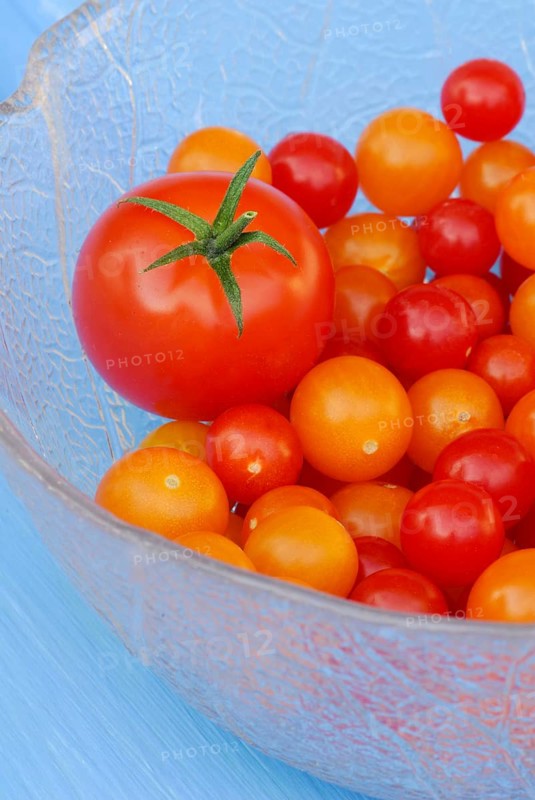 Cherry tomato and wild tomatoes (Solanum peruvianum)
