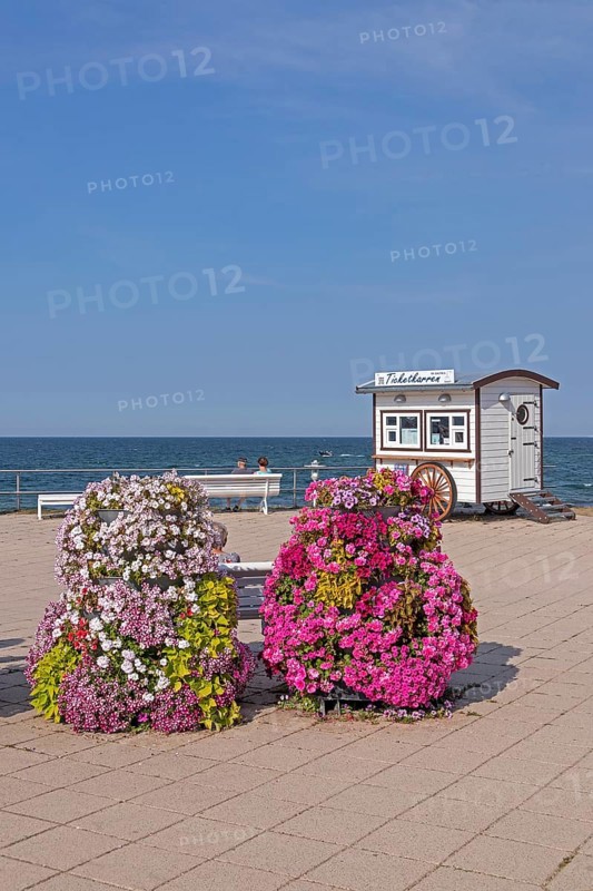 Ticket carts, flowers, beach promenade, Kühlungsborn, Mecklenburg-Western Pomerania, Germany, Europe