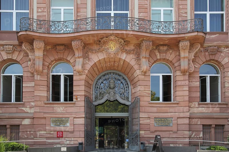 Entrance to the Senckenberg Naturmuseum, Senckenberg Museum, Museum, Westend, Main, Frankfurt, Hesse, Germany, Europe