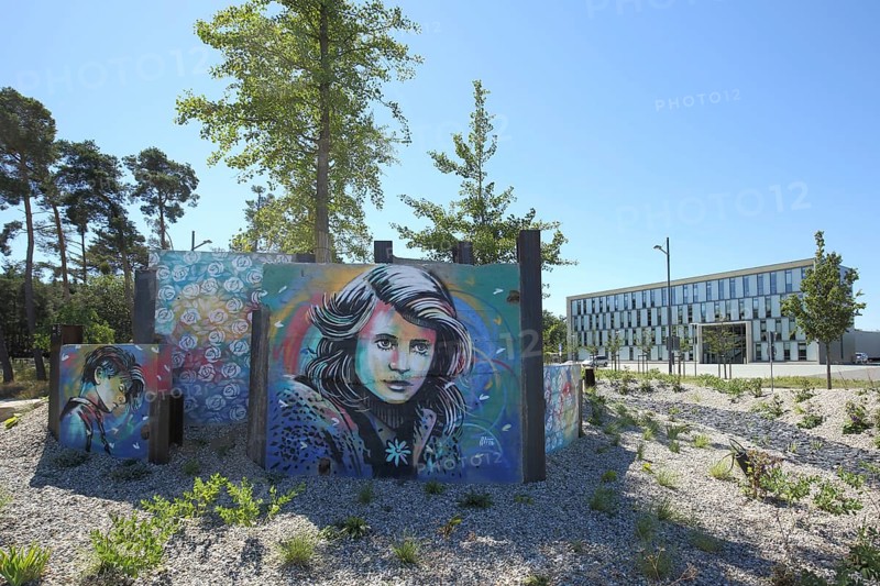 Memorial by Alice Pasquini to siblings Hans and Sophie Scholl during National Socialism, victims, resistance, street art, graffiti, Sophie-Scholl-Kreisel, Raunheim, Hesse, Germany, Europe
