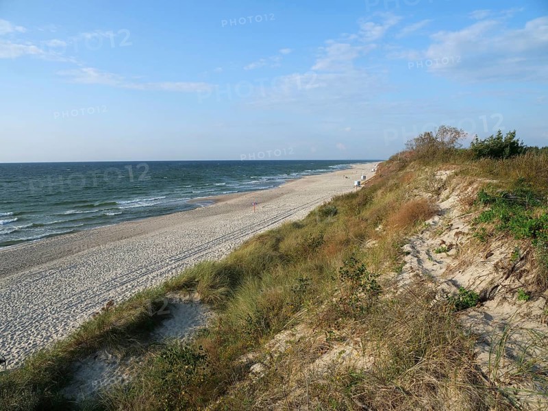 Dunes and beach on the Baltic Sea in the Curonian Spit National Park, Dune, Nida, Curonian Spit, Lithuania, Europe
