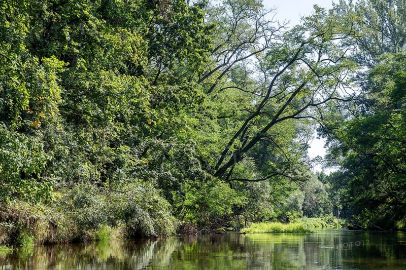River landscape of the Thaya in late summer, Czech Republic, Europe