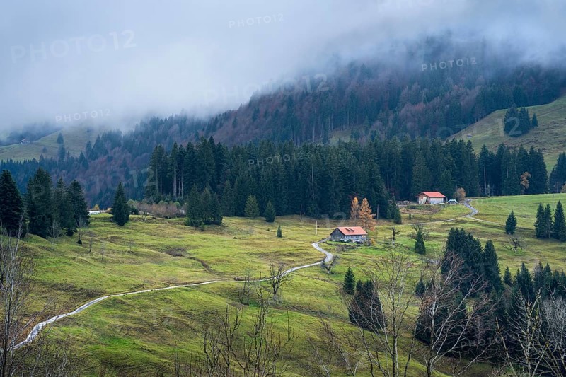 Landscape in the Allgäu, meadows, forests and individual farms. A small road leads to the farms. Low clouds hang like fog in the mountains. Oberstaufen, Upper Allgäu, Bavaria, Germany, Europe