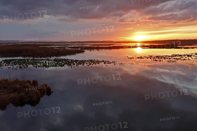 Sunset over the Große Rosin nature reserve on the Peene, rewetted polder, bird sanctuary, Peene Valley River Landscape nature park Park, Mecklenburg-Western Pomerania, Germany, Europe