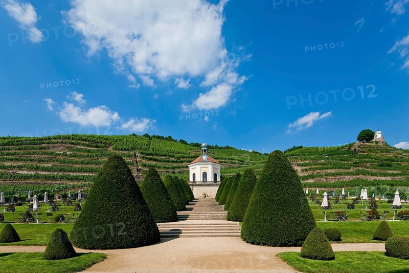 Schloss Wackerbarth or Wackerbarths Ruh' is a baroque castle surrounded by vineyards in the Niederlößnitz district of Radebeul on the road to Meissen, which serves as the seat of the Saxon State Winery. The winery belongs to the large Lößnitz vineyard and is located in the single vineyard Radebeuler Johannisberg