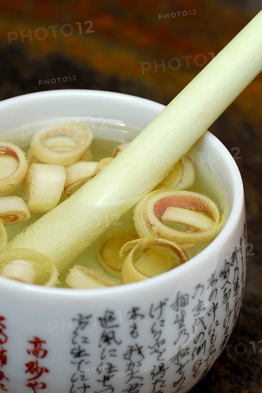 Cup of Lemon grasstea (Cymbopogon citratus)