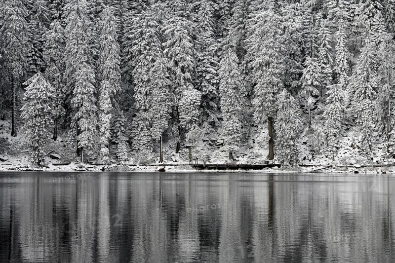 Winter landscape at Mummelsee, reflection of the forest, near Seebach, Black Forest, Ortenaukreis, Baden-Württemberg, Germany, Europe