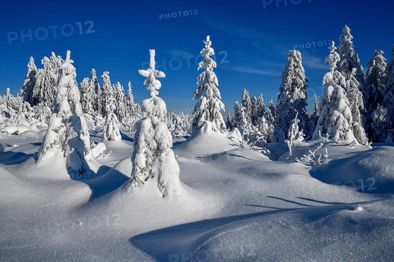 Snowy winter landscape near the Vogelskopf, near Baiersbronn, county Freudenstadt, Black Forest, Baden-Württemberg, Germany, Europe