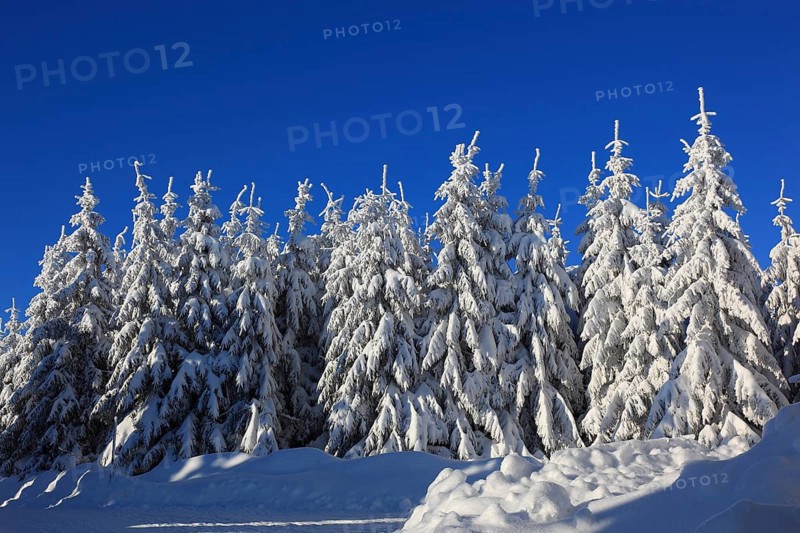 Winter landscape in the Fichtelgebirge, Bayreuth district, Upper Franconia, Bavaria, Germany, Europe