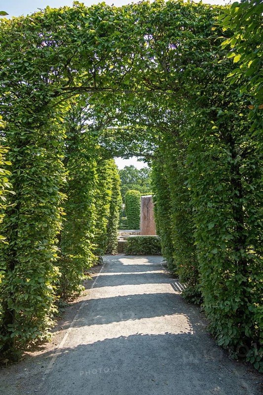 Park with high hedges, Göhren, Rügen Island, Mecklenburg-Western Pomerania, Germany, Europe