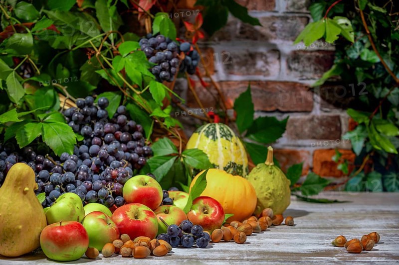 Autumnal Still Life with Blue Burgundy Grapes, Apples, Pumpkins and Hazelnuts in Front of a Brick Wall with Leaves