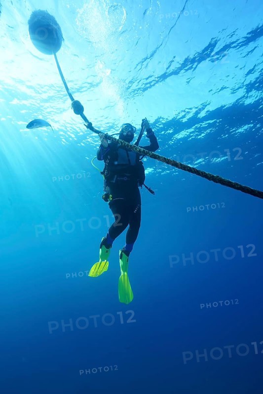 Diver making a safety stop at a buoy. Dive site Giens Peninsula, Côte dAzur, France, Europe