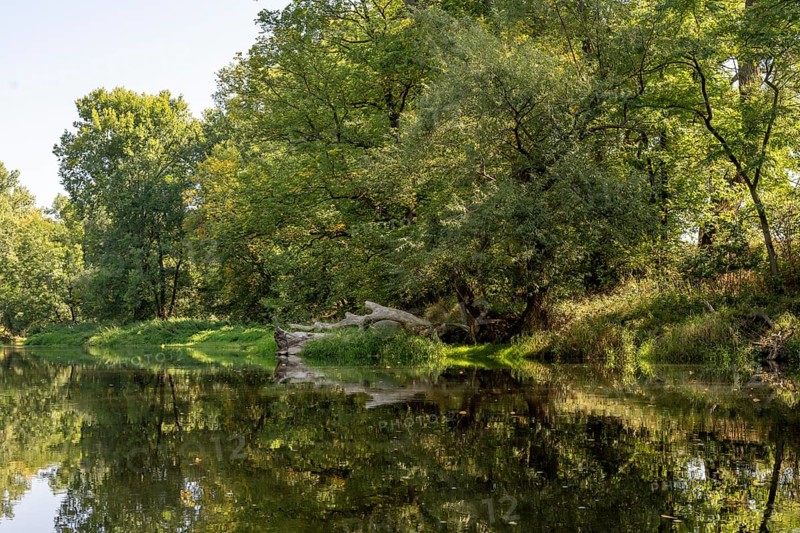 River landscape of the Thaya in late summer, Czech Republic, Europe