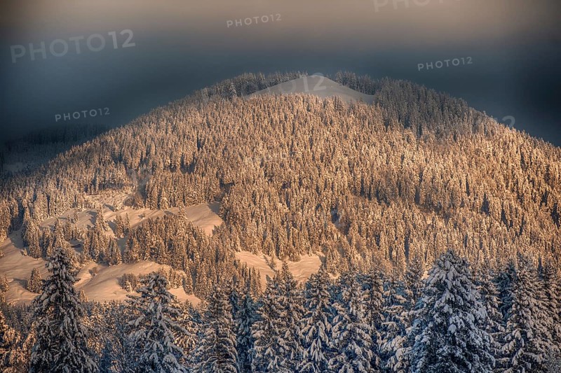 Winter, mountain, morning mood, sunrise, light, Christmas time, conifer, nature, hiking, Heiglkopf, Bad Tölz, Bavaria, Germany, Europe