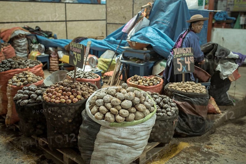 Potato variety, Mercado Mayorista, Huancayo, Peru, South America