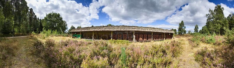 Historic beehive in the Lüneburg Heath near Undeloh, Harburg district, Lower Saxony, Germany, Europe