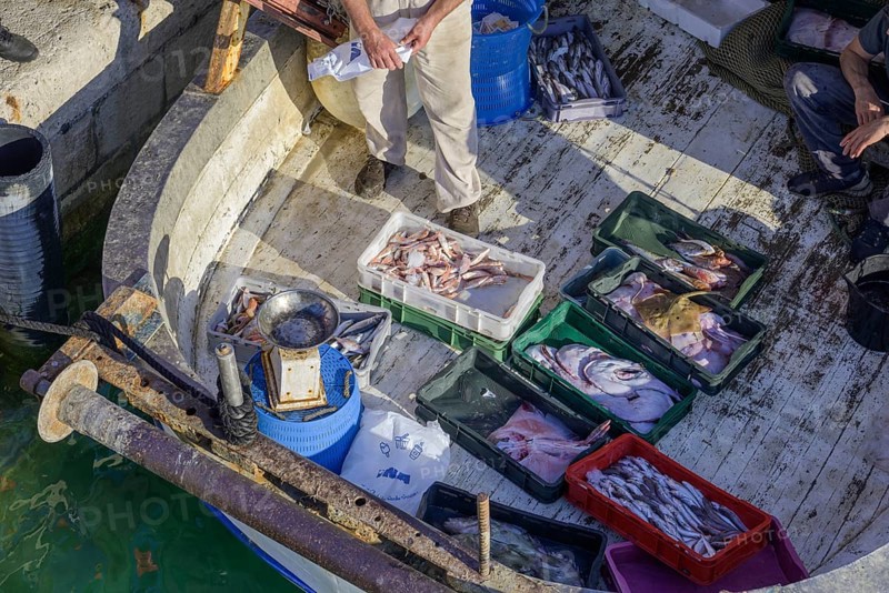 Selling fish directly from the boat, Vela Luka, Korcula, Dubrovnik-Neretva County, Croatia, Europe