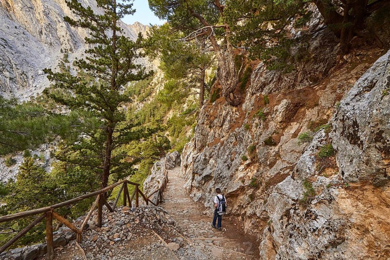 Hikers from behind, Trees, Xyloskalo, Wooden stairs, Upper entrance of the gorge, Samaria Gorge, Samaria, Gorge, National Park, Omalos, Lefka Ori, White Mountains, West Crete, Island of Crete, Greece, Europe
