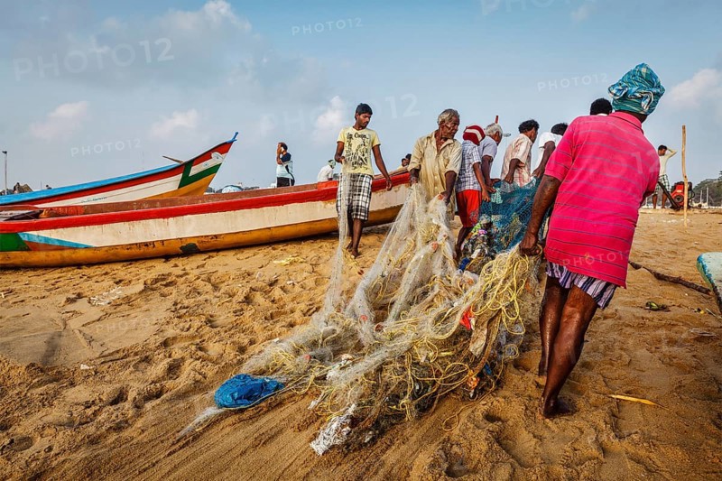 CHENNAI, INDIA, FEBRUARY 10, 2013: Indian fishermen dragging fishing net with their catch from sea on Marina Beach, Chennai, Tamil Nadu