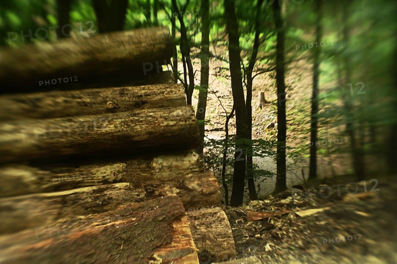 Forest damage in the Sauerland region has caused about 40 % of the spruce stand, especially in monocultures. The picture shows forest damage in May 2020, Germany, Europe