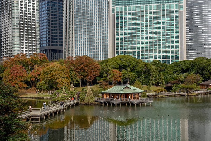 Hamarikyu Park, Imperial Garden of Hama Residence, in front of Skyline, Chuo District, Tokyo, Honshu Island, Japan, Asia