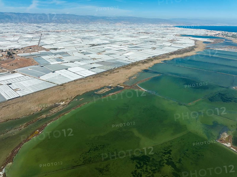 Masses of shimmering plastic greenhouses at the coast of El Ejido, in the foreground the lagoon Salinas de Cerrillos, aerial view, drone shot, Almería province, Andalusia, Spain, Europe