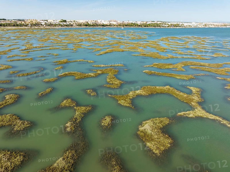 Network of channels and streams at low tide, in the marshland of the Bahía de Cádiz, in the distance the town of Puerto Real, aerial view, drone shot, Cádiz province; Andalusia; Spain