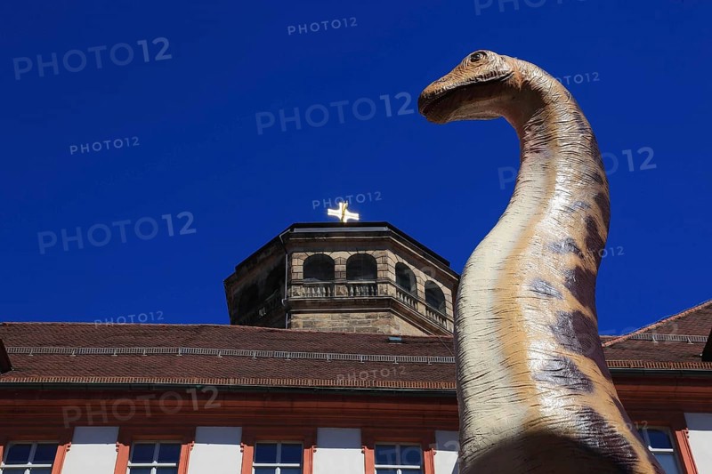 Dinosaur figure in the city centre of Bayreuth, advertising for the primeval world museum in the natural history museum, behind it the tower of the castle church, Germany, Bavaria, Upper Franconia, Europe