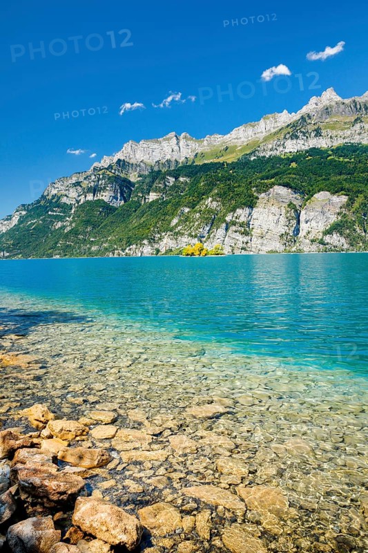 View from the shore of Lake Walen of the small chive island in the middle of the turquoise water at the foot of the Churfirsten and with the Schären mountain range in the background, Canton St. Gallen, Switzerland, Europe