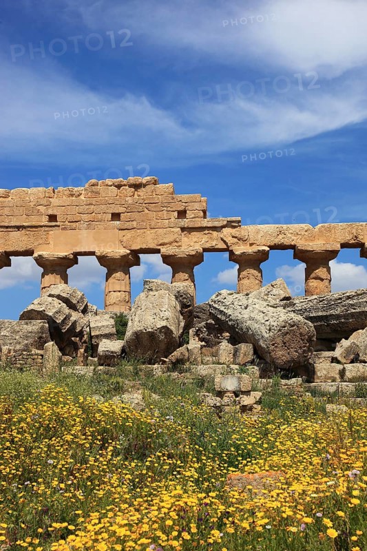 Selinunte, remains of the temples of the acropolis in the archaeological site of Selinunte, Trapani province, Sicily, Italy, Europe