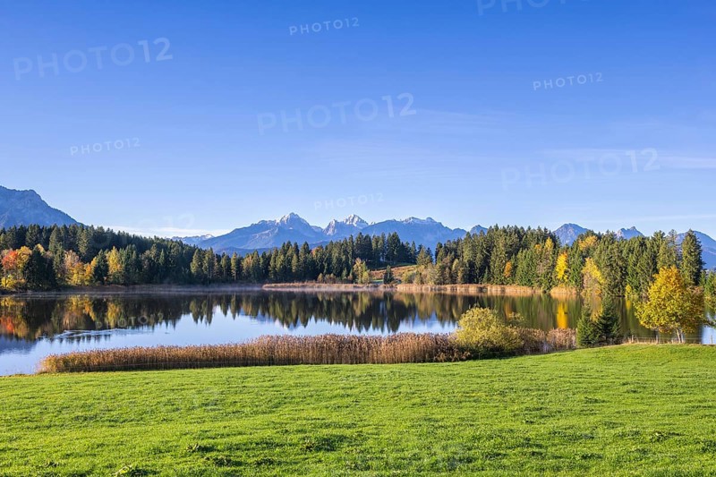Hegratsrieder See near Füssen, Allgäu Alps, Allgäu, Bavaria, Germany, Europe