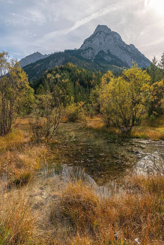 Rißbach stream in the Rißtal valley, boggy area in the riverbed, Karwendel nature park Park in autumn, Tyrol, Austria, Europe