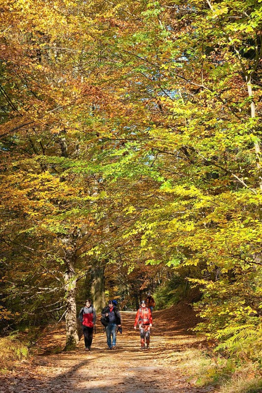 Hikers in the Schrammstein area in the back of Saxon Switzerland