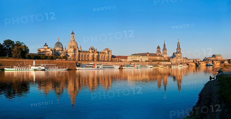 Dresden silhouette in spring. Numerous Japanese cherry trees blossom on the banks of the Neustädter Elbe in spring and invite you to take a walk with a view of Dresden's old town centre