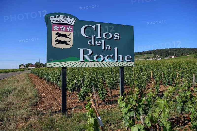 Sign at a vineyard on the Route des Grand-Crus, Route of Fine Wines, Clos de la Roche, Morey-Saint-Denis, Côte-dOr Department, Bourgogne-Franche-Comté, Burgundy, France, Europe