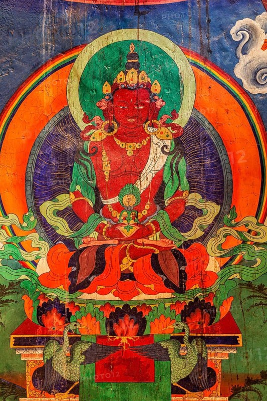 LEH, INDIA, SEPTEMBER 4, 2011: Wall paintings of Buddha in Tsemo gompa Buddhist monastery. Leh, Ladakh, India, Asia