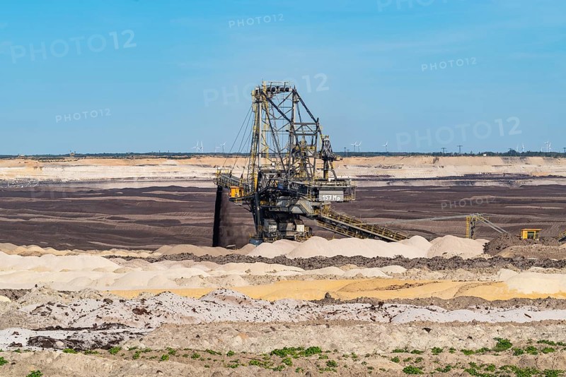 Weaners in the Welzow-Süd opencast lignite mine, Niederlausitz, Spree-Neiße, Brandenburg, Germany, Europe