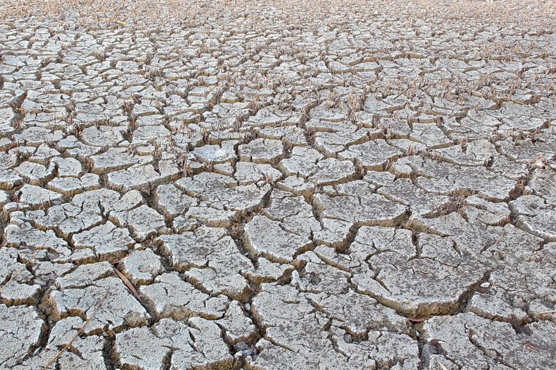 Heavily desiccated soil, Lake Neusiedl, Illmitz, Lake Neusiedl-Seewinkel National Park, Burgenland