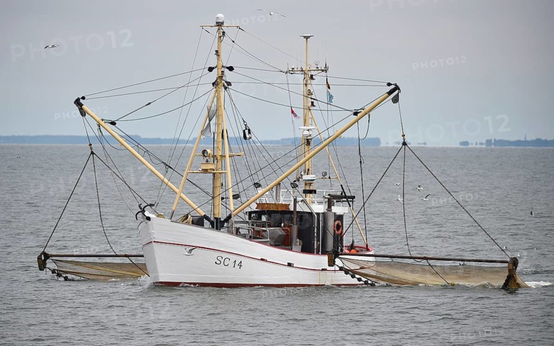Crab cutter has displayed its nets in the North Sea, Büsum, Germany, Europe