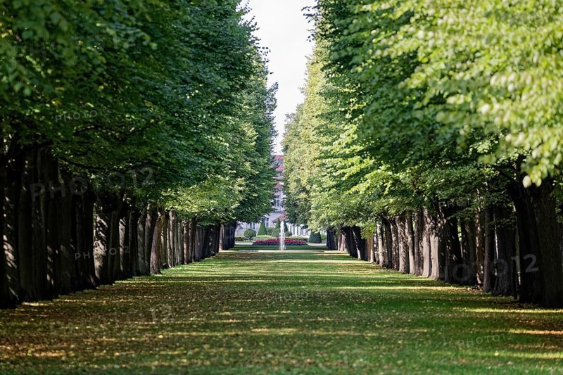Avenue in the Court Garden, Orangery, Margravial Court Garden Ansbach Park, Garden, Palace Garden, Ansbach, Middle Franconia, Franconia, Bavaria, Germany, Europe
