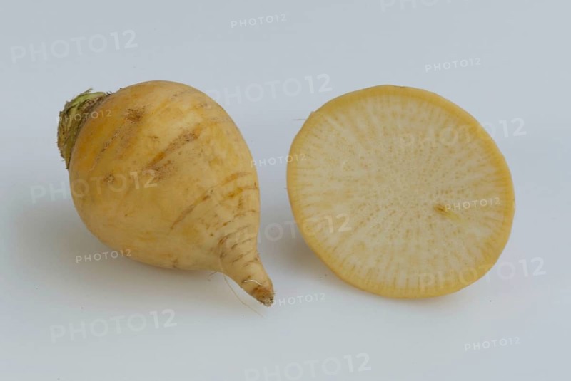 Beet (Brassica rapa), Kohlruebe, Kohlrübe, Teltower Rübe, Speiserübe, Gemuese, vegetable, Querformat, horizontal, Freisteller, cut out, Objekt, object, innen, Studio, indoor, Nahrungsmittel, food